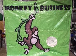 Monkey Business!