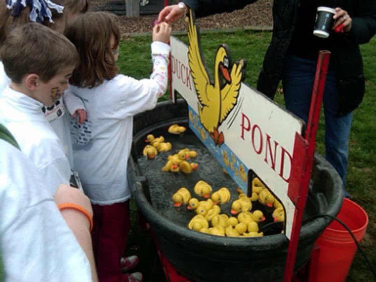 Duck Pond - Brown Tub Style