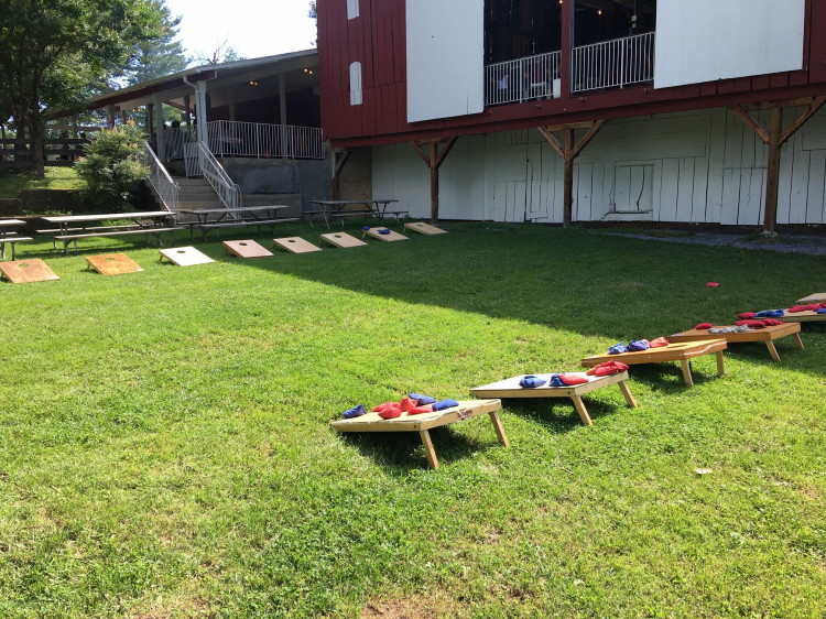 Corn Hole Regulation Wooden - 2' x 4'