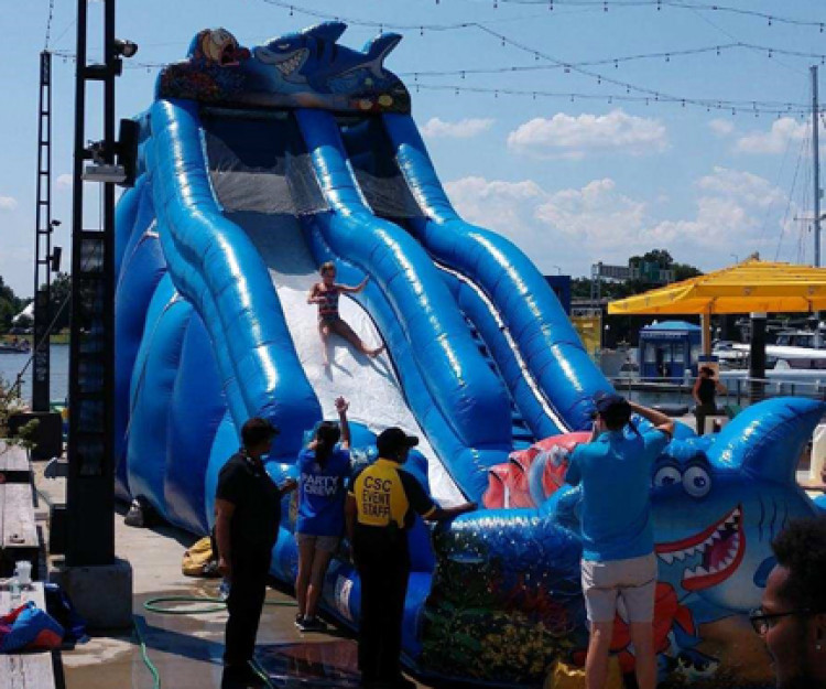 Shark Water Slide