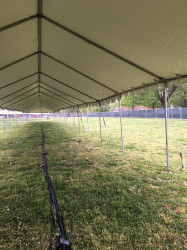 15' x 35' Frame Tent