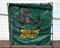 Feed the Monkey - Frame
