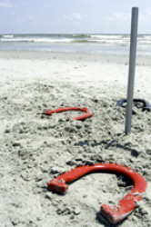 Horseshoes