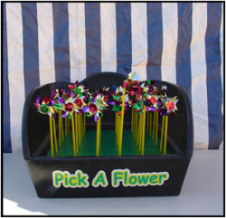 Pick A Flower - Tub Style