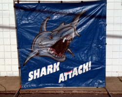 Shark Attack