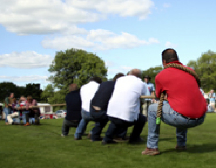 Tug of War - 2 Way